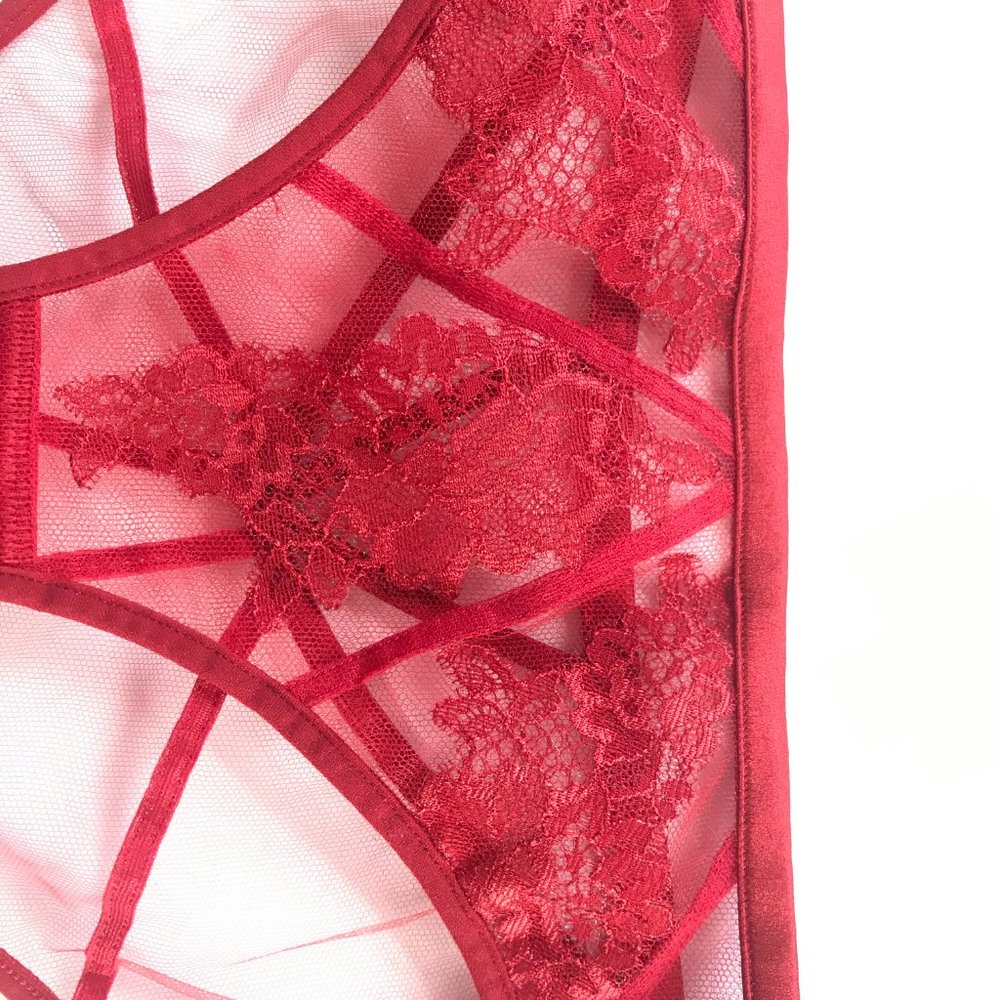 Agent Provocateur DEMELZA BRIEF - BNWT - Picture 5 of 5
